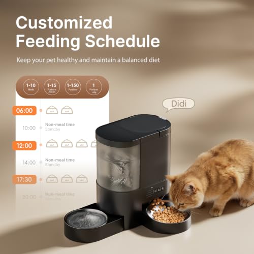 Automatic Cat Feeder and Water