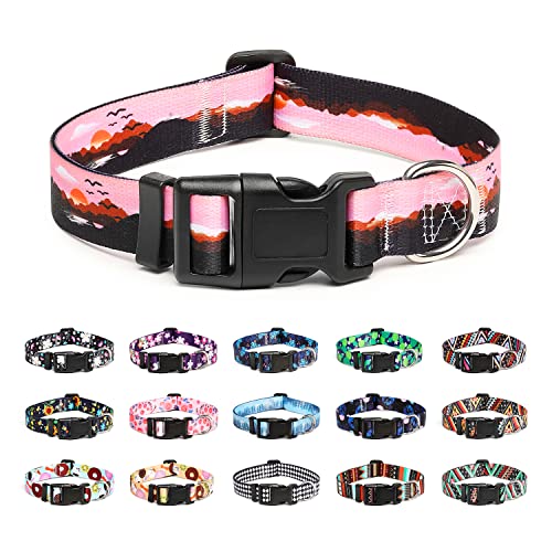 Adjustable Dog Collar (Extra Small / Sunset)
