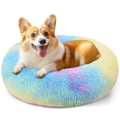28in Large Dog Bed (Rainbow / 28.0"L x 28.0"W x 8.0"Th)