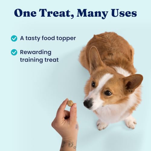 Freeze Dried Dog Food Topper & Treats Chicken Picky Eaters 1.5oz (1.5 Ounce)