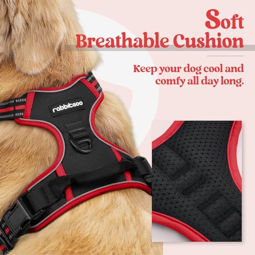 Dog Harness No Pull for Small Dogs with 2 Leash Clips (Small / Black & Red)