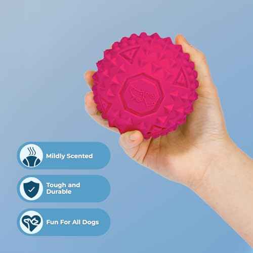 Squeaky Dog Toys with Soft Durable Fabric for Small (Fuchsia / Large)