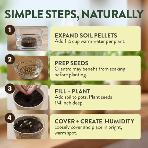 Organic 4 Herb Indoor Garden Kit