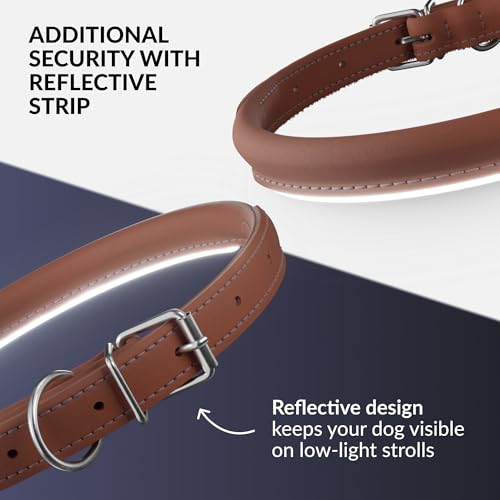 Tangle Free Reflective Leather Dog Collar (Cinnamon / L)