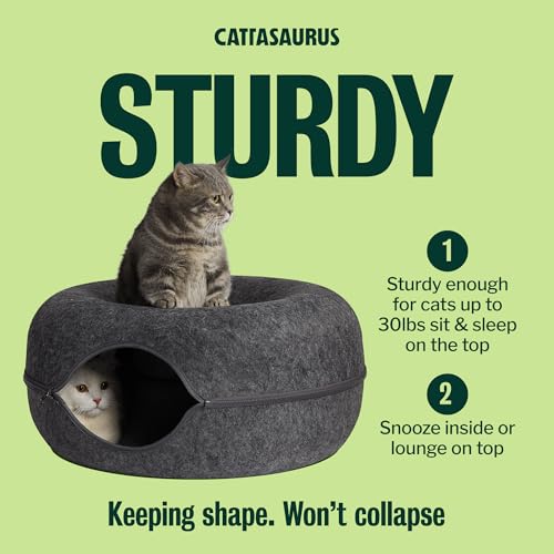Peekaboo Cat Cave Donut for Multiple & Large Cats up to 30 (Dark Gray / Large)