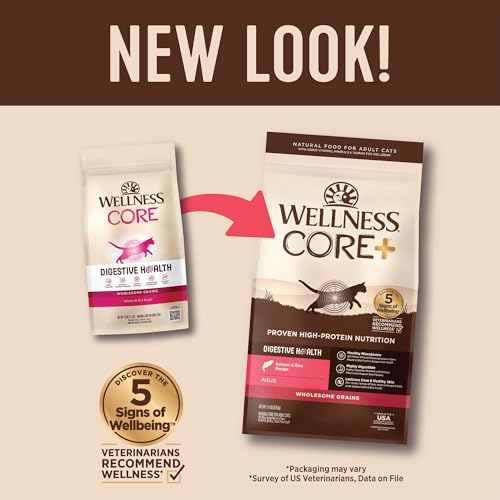 CORE+ Digestive Health Adult Dry Cat Food (11 Pound (Pack of 1))