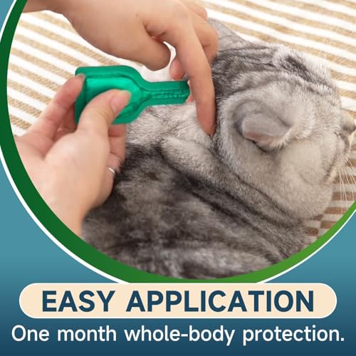 Cat Flea Treatment