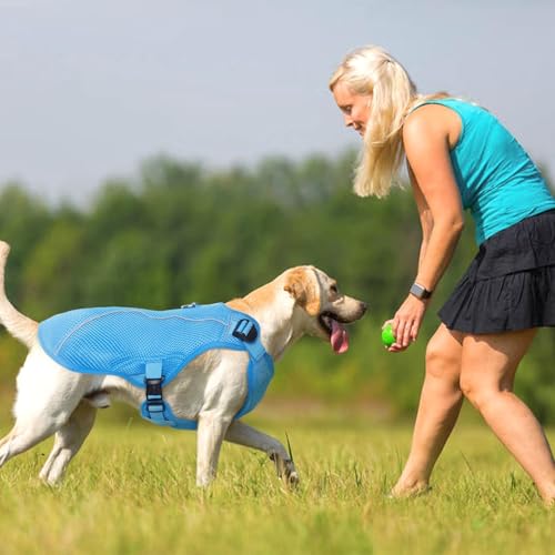 Dog Cooling Vest for Large Dogs with with Sun Protection (Xxl (Chest Girth:31.1'') / Ocean Blue)
