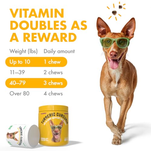 Turmeric Curcumin Hip & Joint Supplement for Dogs (Turmeric / 30)