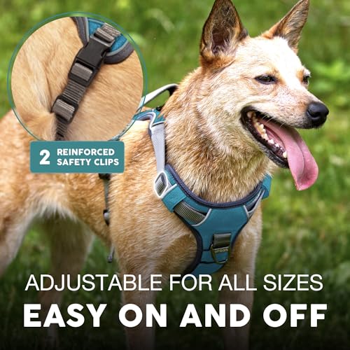 Embark No Pull Dog Harness (M / Blue)