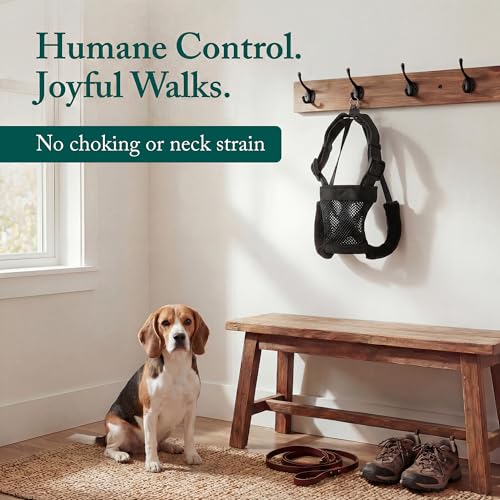 No Pull Dog Harness (Medium / Black)