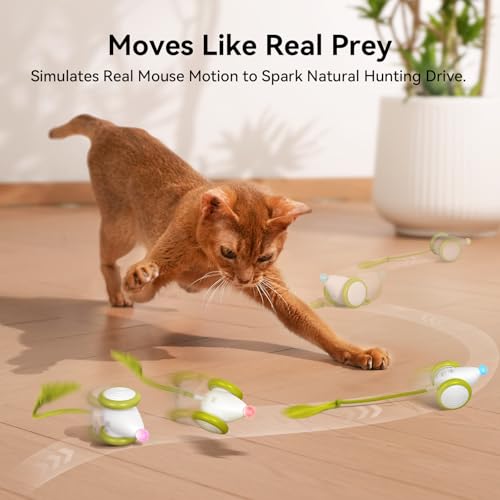 Interactive Cat Toys for Indoor Cats (Mouse Neo-Green)