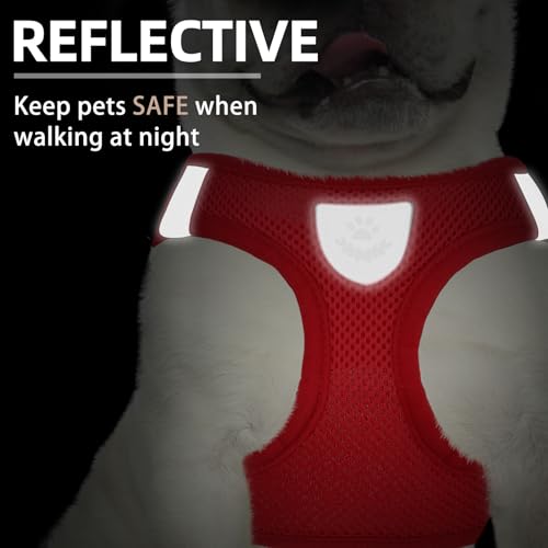 Dog Harness Collar and Leash Set No Pull for Small Medium Sized (Solid Red / M (CHEST 16"-18"))