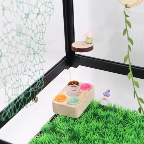Jumping Spider Accessories