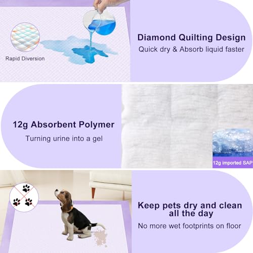 Lavender Scented Thicken 6 Layers Heavy Absorbent 30"x36" Pet Training Dog Pee Pads (Lavender Scent - 30"x36")
