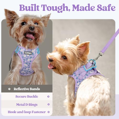 Dog Harness Small Sized and Leash Set (Lavender Floral / S (chest: 15.1 - 16.5"))