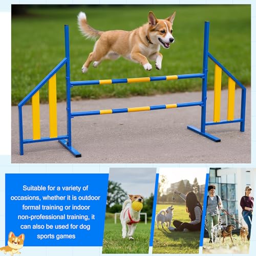 Dog Agility Jump with Wing Bars