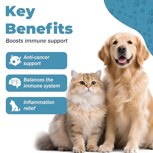 Relief Dog Allergy & Ear Infection