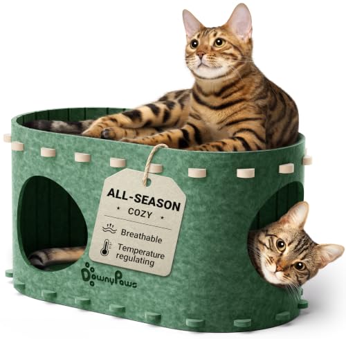 Cat House for Indoor Cats (Forest / Single)