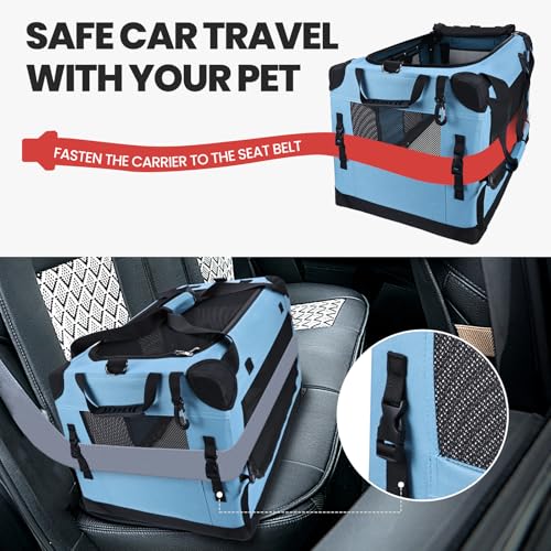 Extra Large Cat Carrier (Teal)