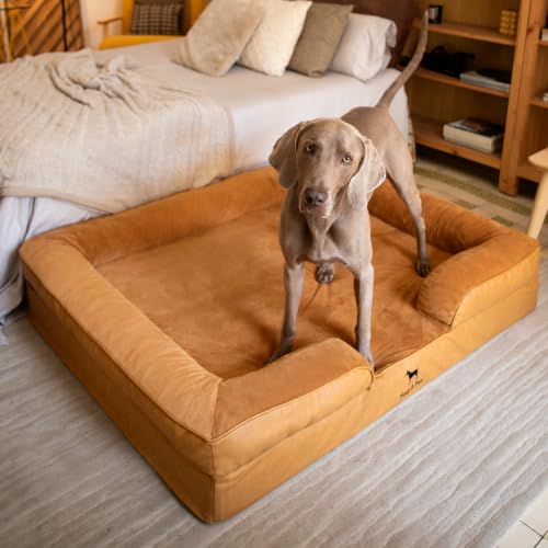 XXL Dog Bed Orthopedic Memory Cooling Foam (Camel - LE / XX-Large)