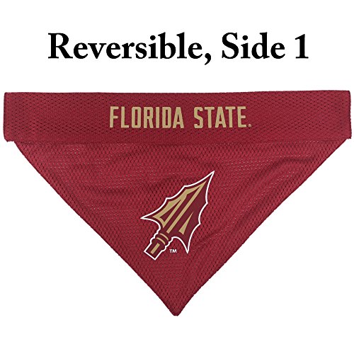 Collegiate Pet Accessories (Large/X-Large / Florida State Seminoles)