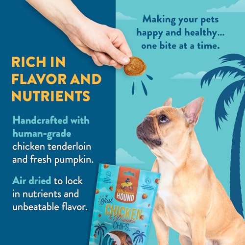 Chicken Pumpkin Chips Dog Treats (3 Ounce)