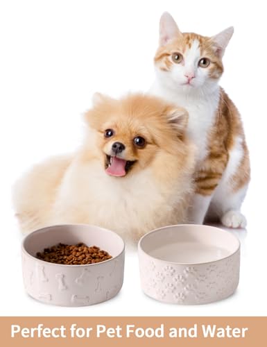 Ceramic Dog Bowl Set of 2 (5.1 in-Small)