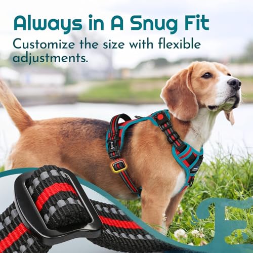 Dog Harness No Pull for Medium Dogs (Medium / Red & Teal)