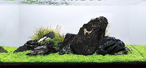 Dark Seiryu Stone 34lb Aquarium Rocks Stones for Fish Tank Decor (09 Dark Seiryu Stones(3-11inch,36lbs))