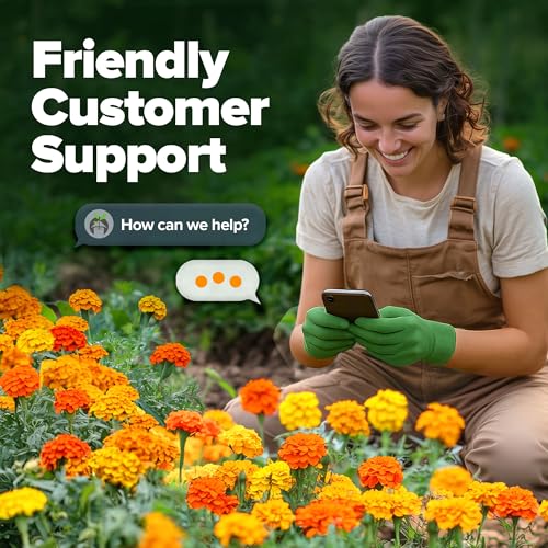 Petite French Marigold Seeds