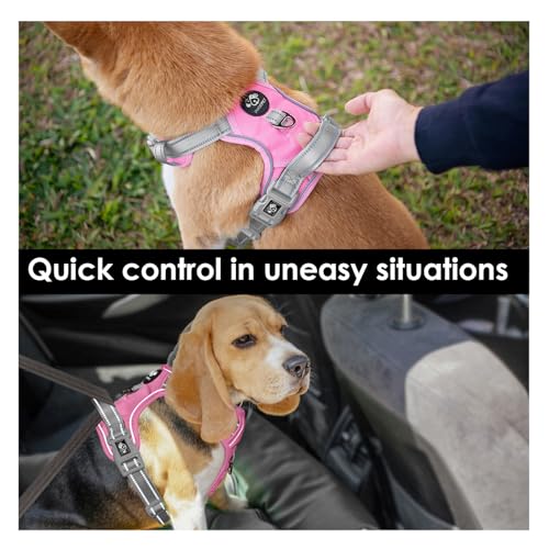 No Pull Dog Harness (Baby Pink Base & Grey Straps / Medium)