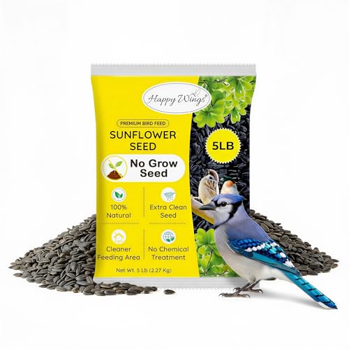 5 LB Black Oil Sunflower Seeds Bird Food (5 Pound (Pack of 1))