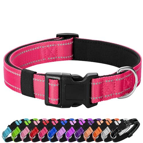 Reflective Dog Collar (Hop Pink / XS:width 5/8"neck 8-10.5")