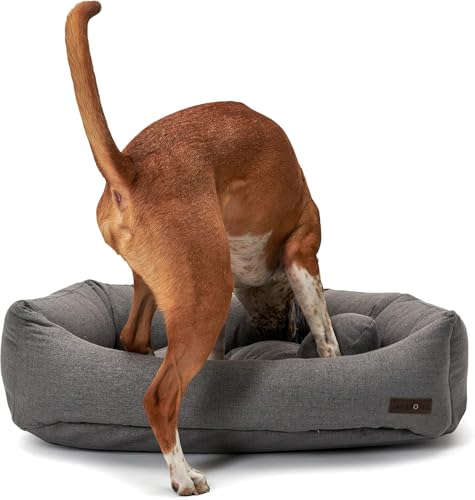 Napper Charcoal Grey Dog Bed w (Medium / Grey)