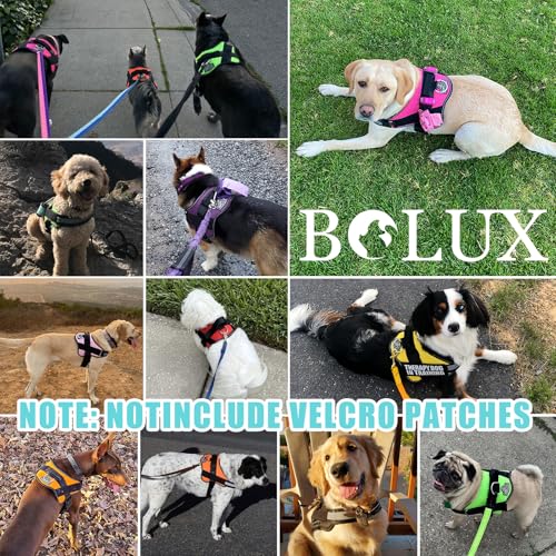 Dog Harness No (XX-Large (Pack of 1) / BabyBlue)
