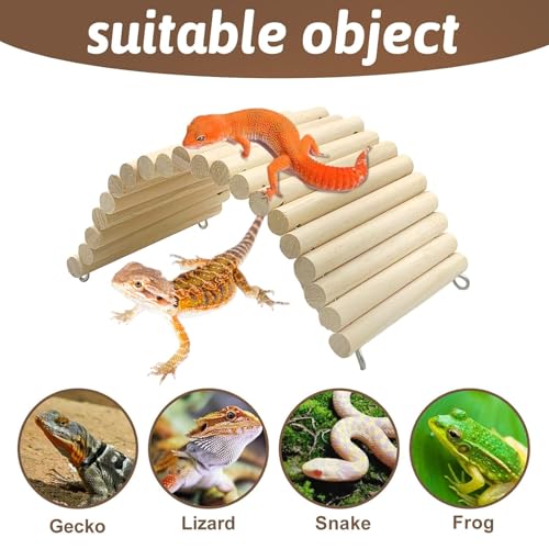 11.37 x 5.9 inch Reptile Hideout (11.37 x 5.9 inches)
