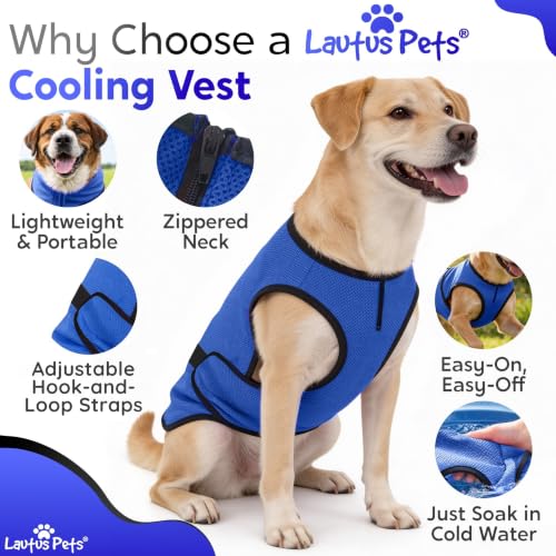 Dog Cooling Vest (Dark Blue / L)