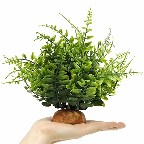Green Boston Fern Reptile Plants (I-fake Green Boston Fern)