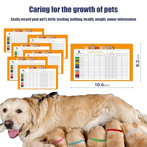 Puppy Kitten Whelping Kit
