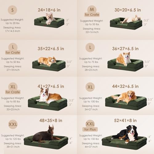Orthopedic XXL Dog Bed (Dark Green / 48.0"l X 35.0"w X 8.0"th)