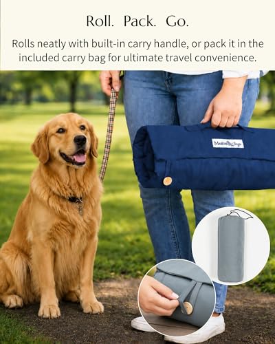 Dog Travel Mat (Blue)