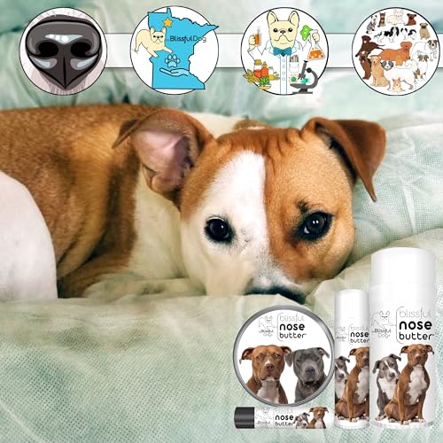 American Staffordshire Terrier Nose Butter (American Staffordshire Terrier / 16 Ounce)