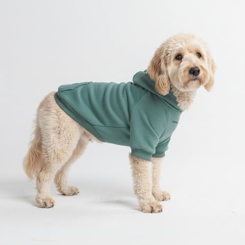 Dog Hoodie Buttery (Teal / XX-Large)