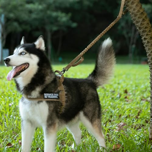 Tactical Military Bungee Nylon Dog Leash Adjustable (Black)