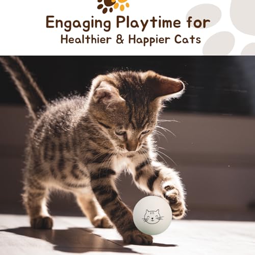 Ping Pong Balls for Cats