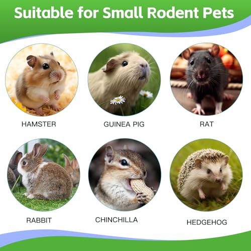 21 Piece Natural Small Pet Chew Toys Set for Rabbits (colorful)