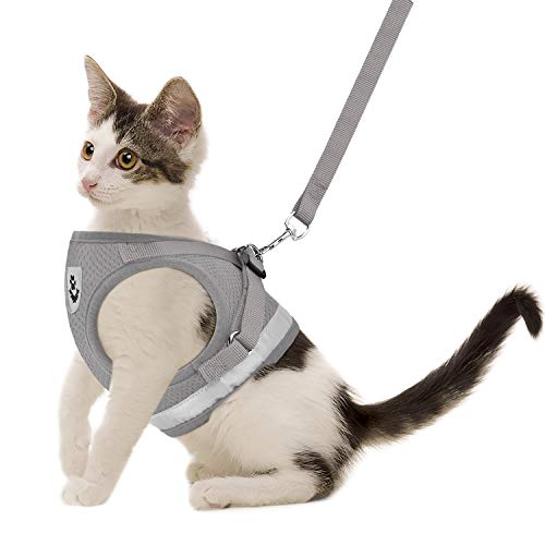 Cat Harness and Leash Set (S (Chest: 9" - 11") / Grey)