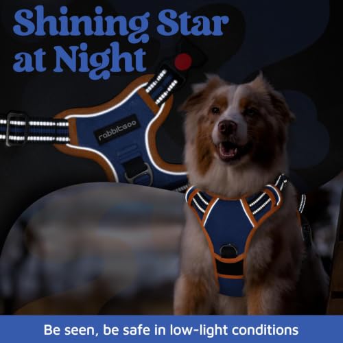 Dog Harness for Large (Royal Blue & Orange / Large)