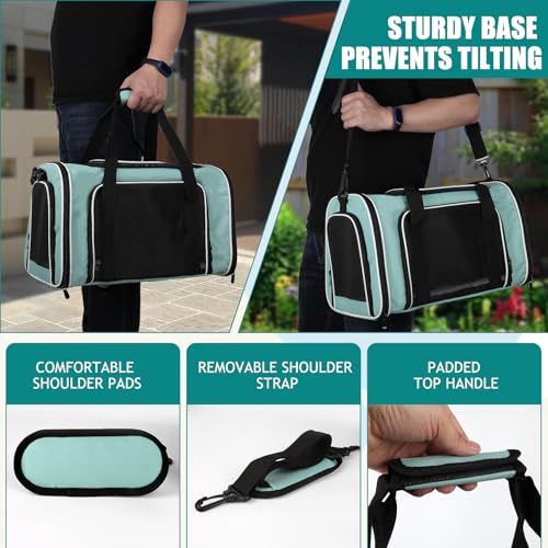 Dog Cat Carrier Pet Carriers for Small Medium Large Cats Dogs Carrier Soft Sided Small Puppy Dog Carrier Portable Foldable Airline Approved Dog Cat Travel Carrier Green Large (20.0"L x 13.0"W x 13.0"H / Green)